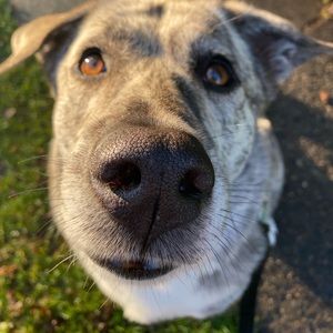 Meet your Posher, Mackenzie